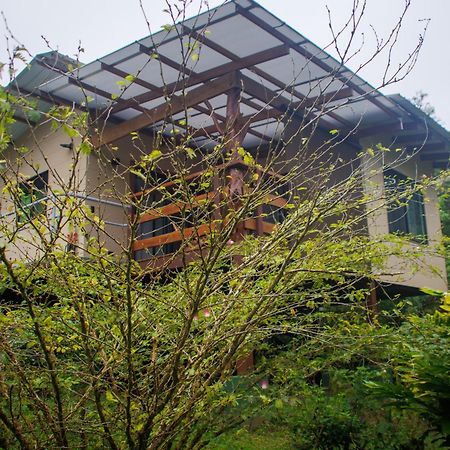 Vila Aves De Tierras Altas Bijagua Exteriér fotografie