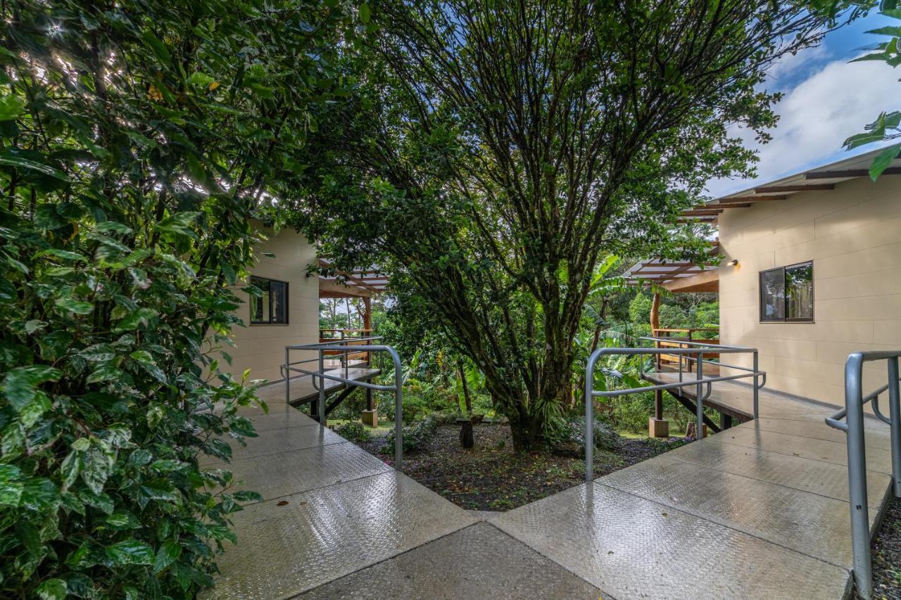 Vila Aves De Tierras Altas Bijagua Exteriér fotografie