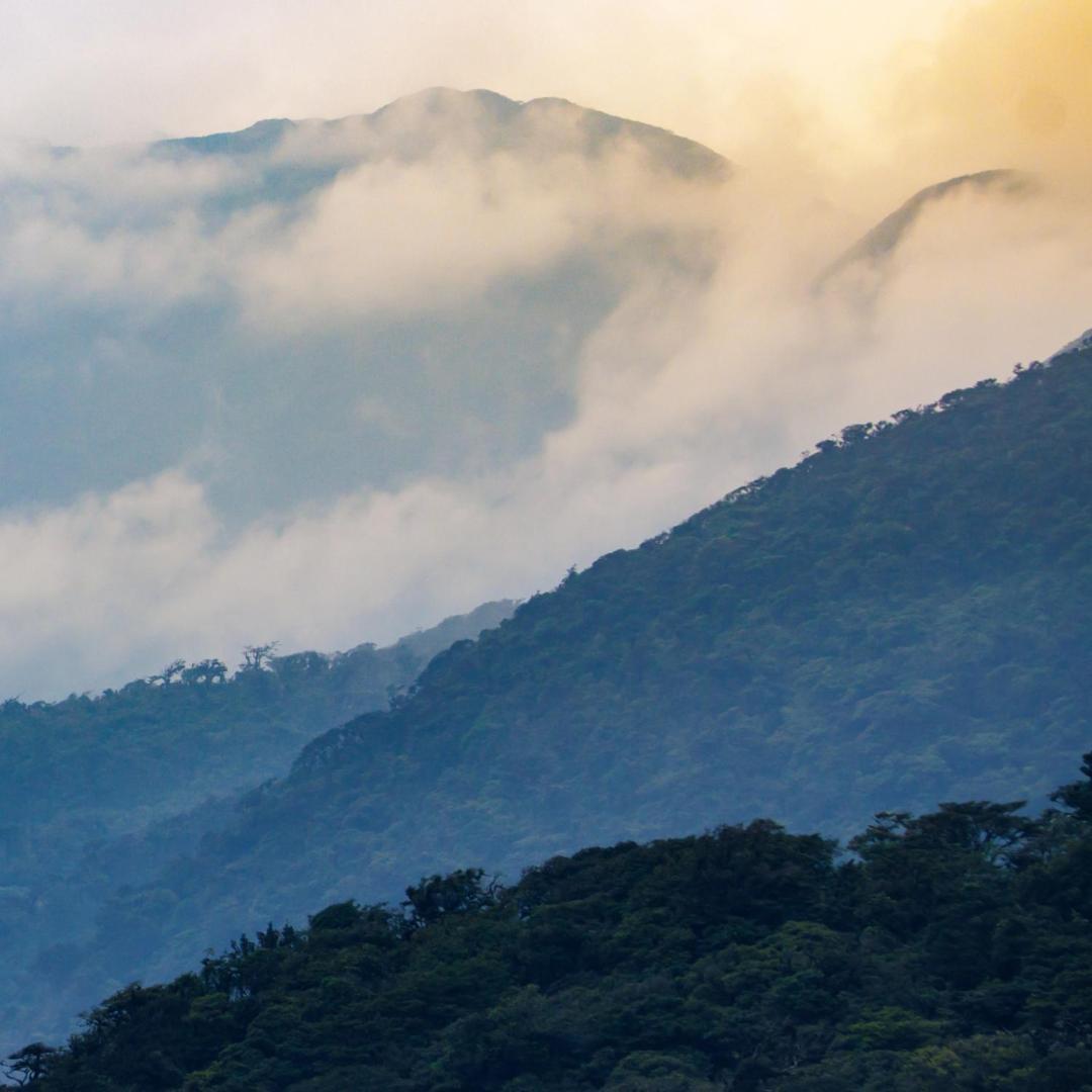 Vila Aves De Tierras Altas Bijagua Exteriér fotografie