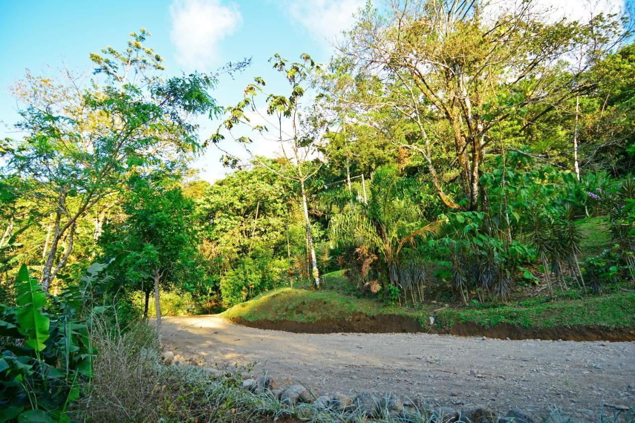 Vila Aves De Tierras Altas Bijagua Exteriér fotografie
