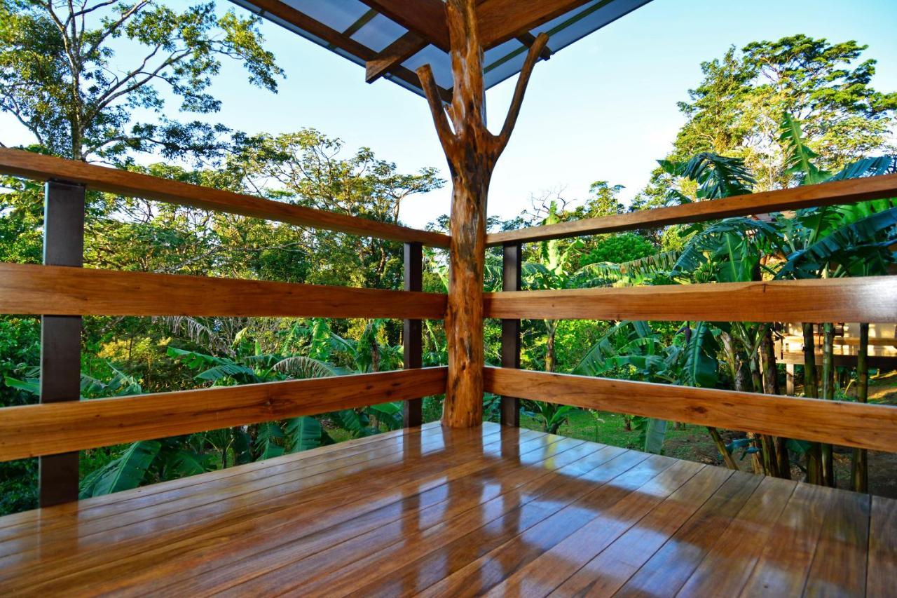 Vila Aves De Tierras Altas Bijagua Exteriér fotografie