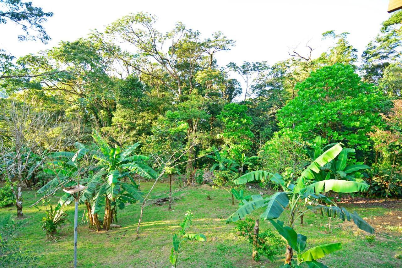 Vila Aves De Tierras Altas Bijagua Exteriér fotografie