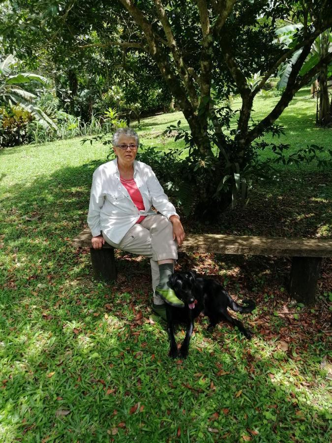Vila Aves De Tierras Altas Bijagua Exteriér fotografie